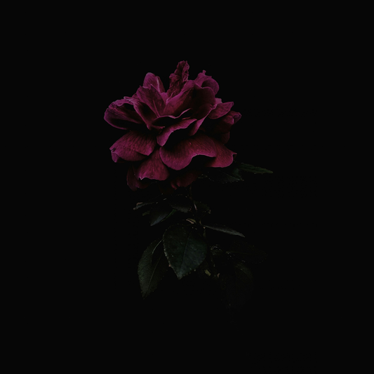 TRAGIC LOVER • CANDLE